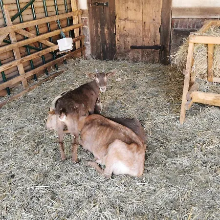 Schäferhof Langenstein