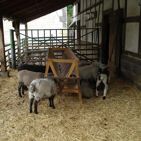 Schäferhof Langenstein