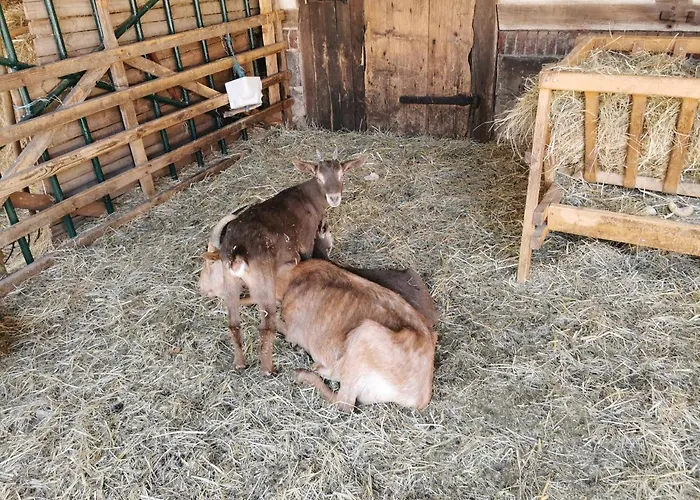 Schaferhof Langenstein