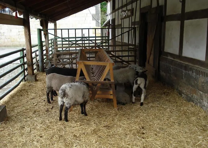 Schaferhof Langenstein